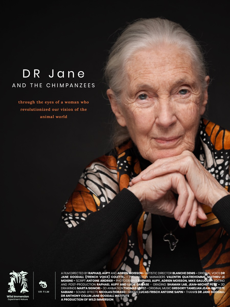 Dr Jane and the Chimpanzees (1)