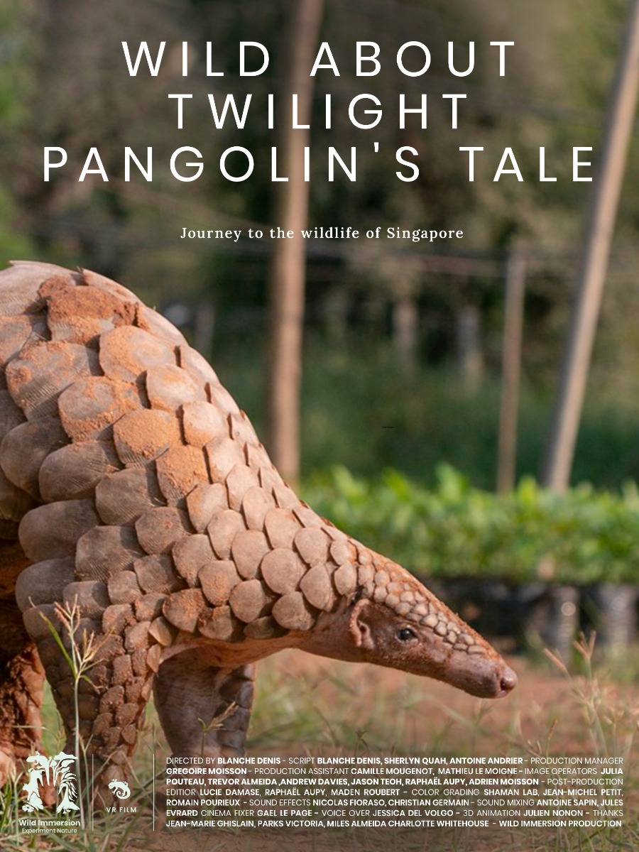Pangolin's Tale