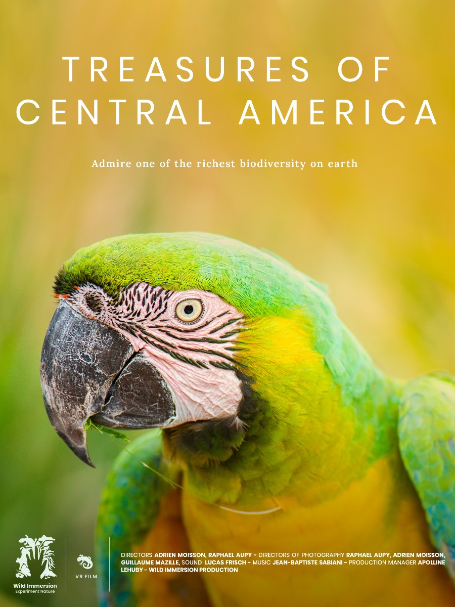 Treasures of Central America