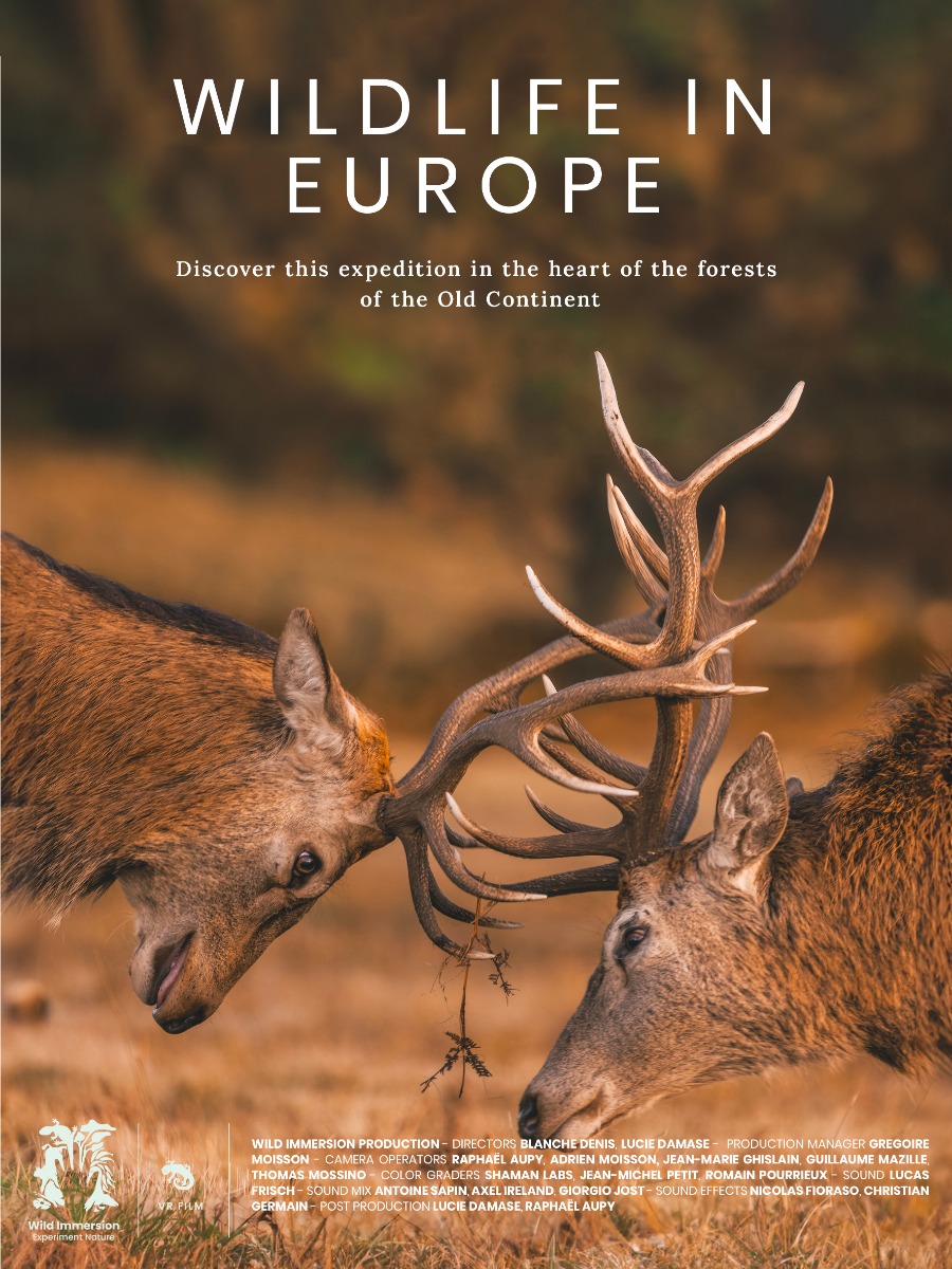 Wildlife In Europe