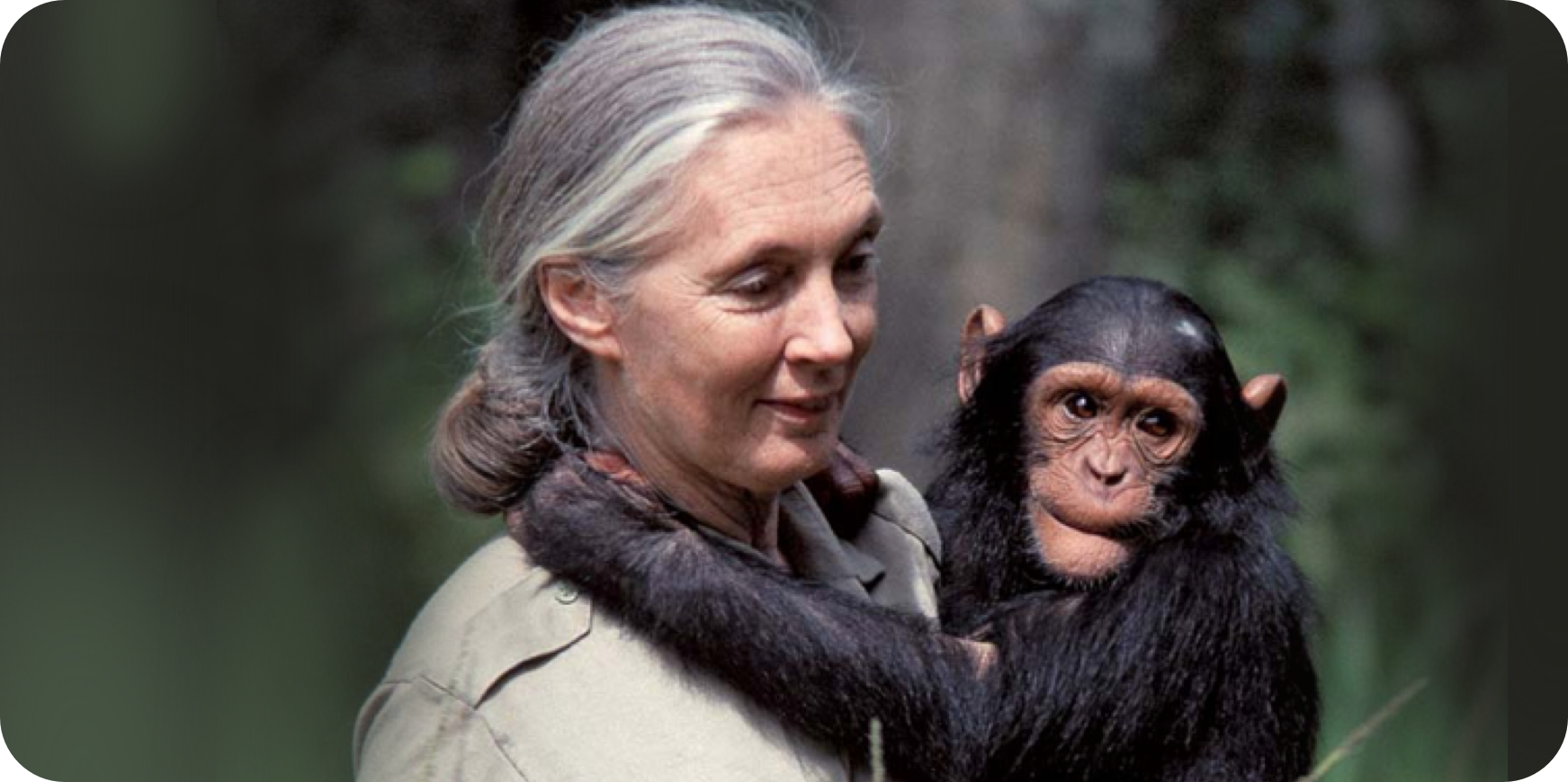 Jane Goodall with Wild Immersion
