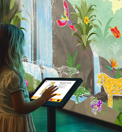 Interactive Drawings. Immersive experience. ZOO experiences