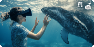 Immersive experience at festival