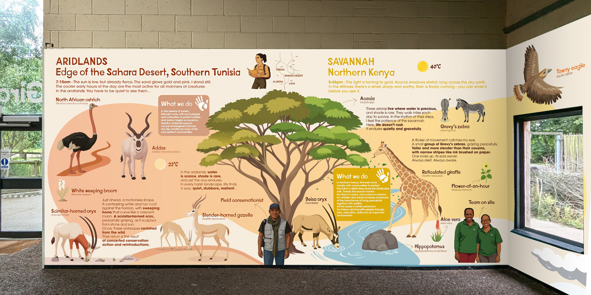 Contenu de l’article