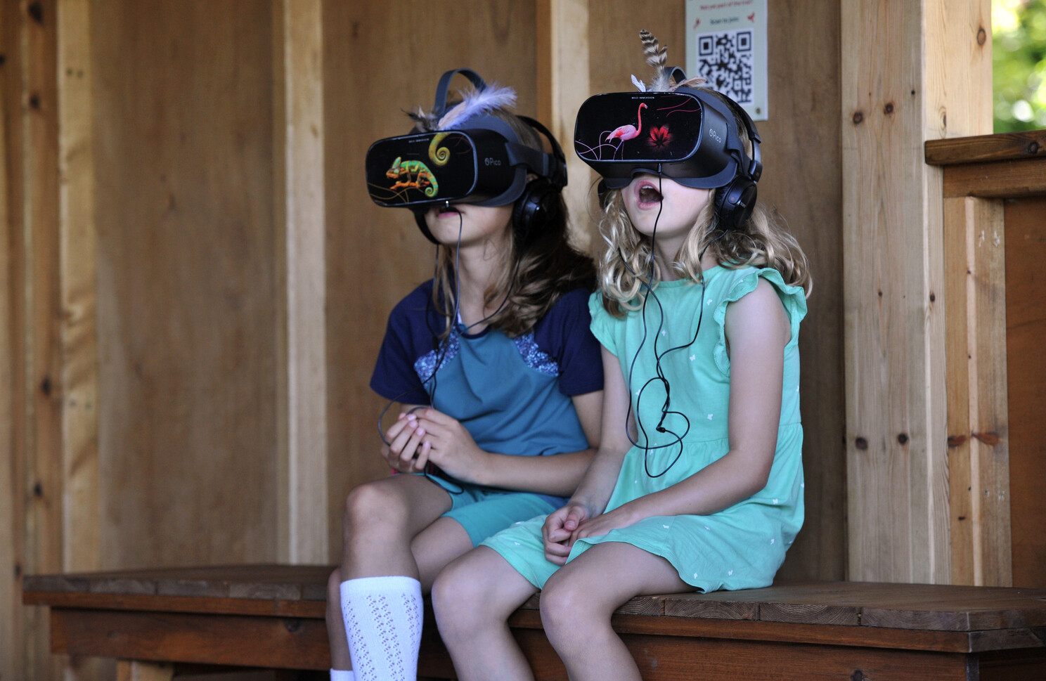 Contenu de l’article