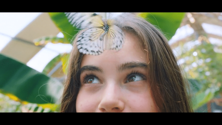 Contenu de l’article